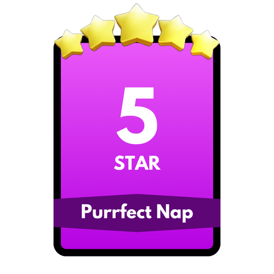 Purrfect Nap